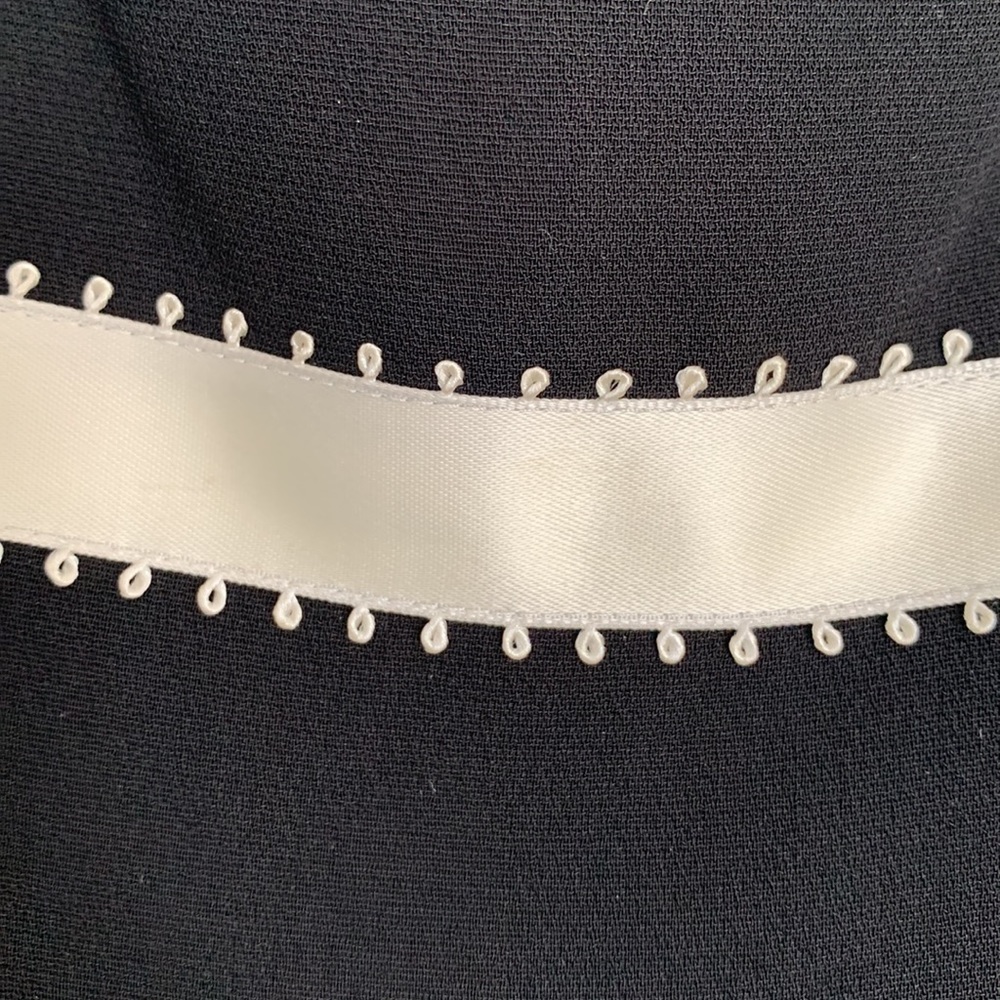 Ann Taylor Ribbon Trim Dress - Picture 5 of 10